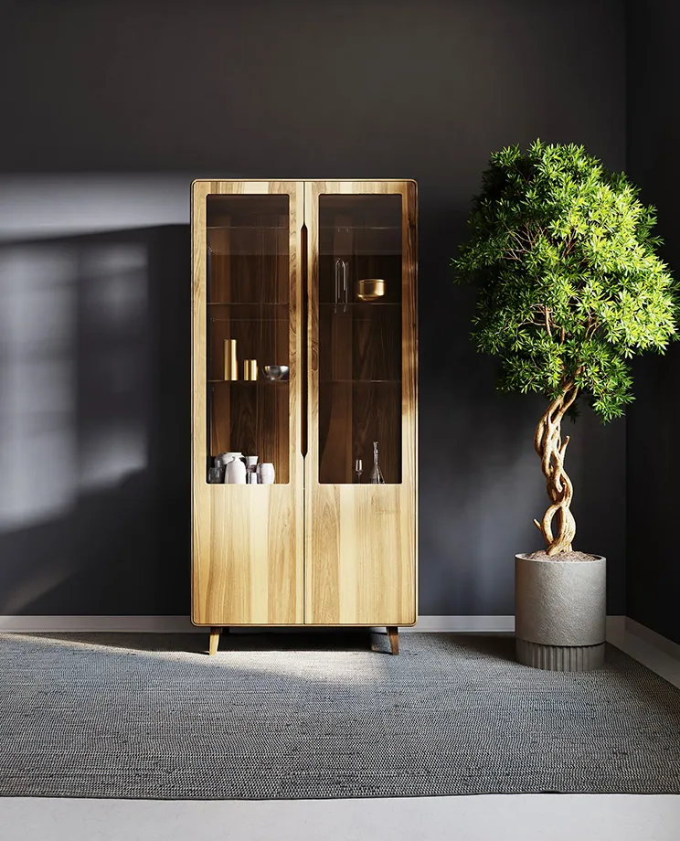 3D Visualisierung Vitrine von Linea-D